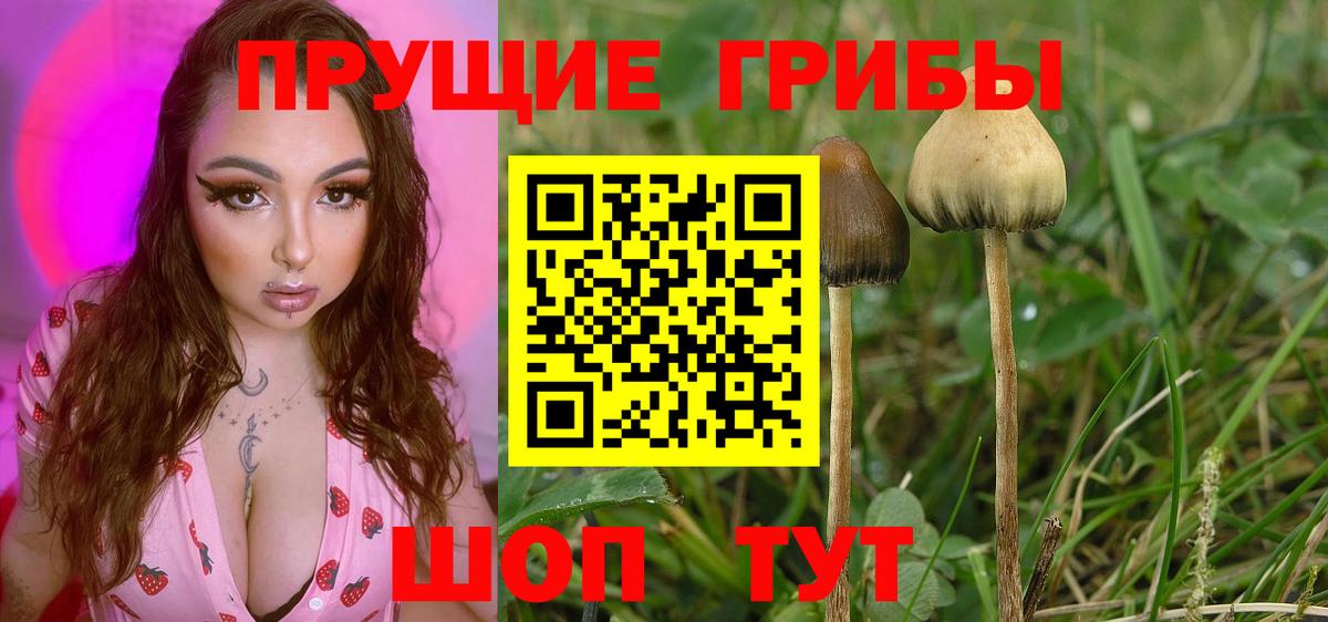 Галлюциногенные грибы Magic Shrooms  Псилоцибиновые грибы Magic Shrooms  Миллерово  Вход с VPN 
